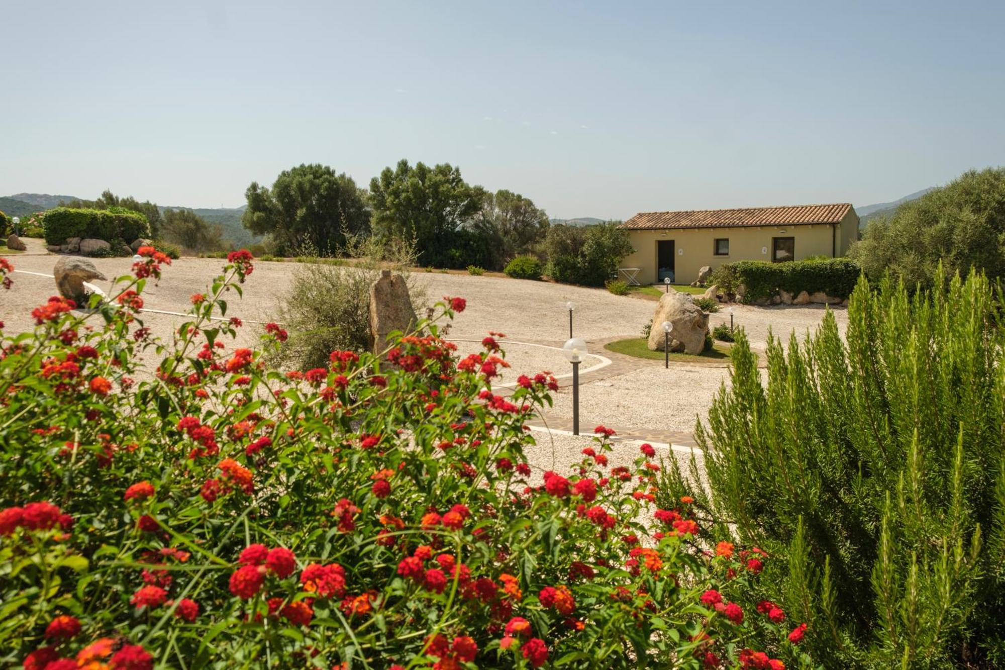أرتْساكينا B&B Terra E Smeralda المظهر الخارجي الصورة