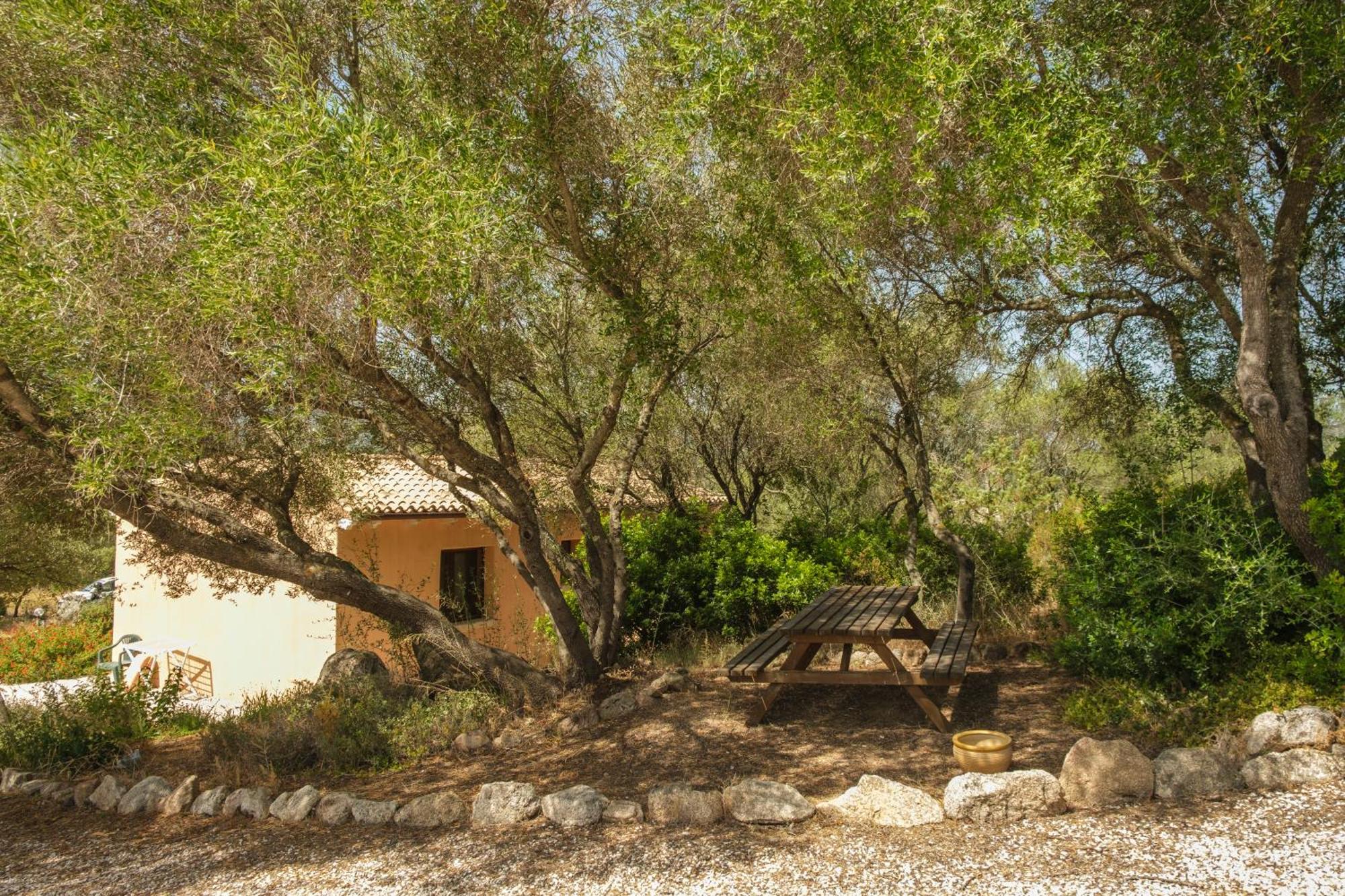 أرتْساكينا B&B Terra E Smeralda المظهر الخارجي الصورة