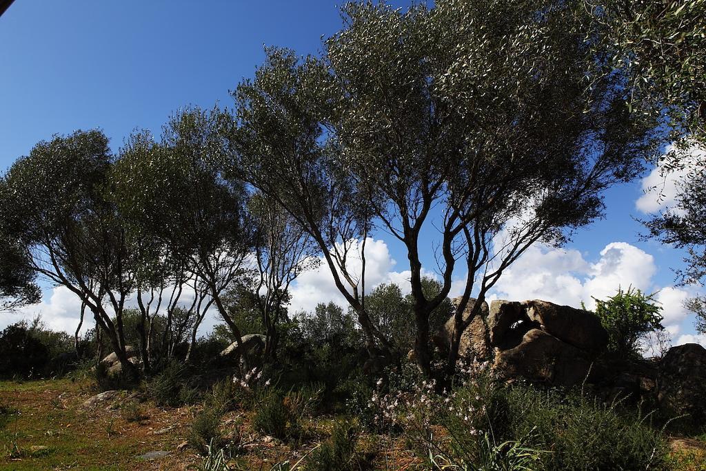 أرتْساكينا B&B Terra E Smeralda المظهر الخارجي الصورة