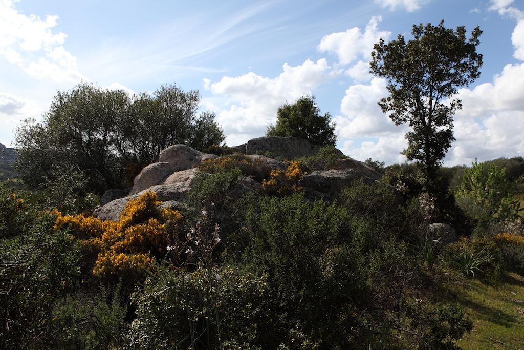أرتْساكينا B&B Terra E Smeralda المظهر الخارجي الصورة
